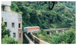 魔都小区爆料视频最新版,惊人真相曝光！